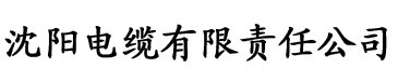 chaoper大香蕉电缆厂logo